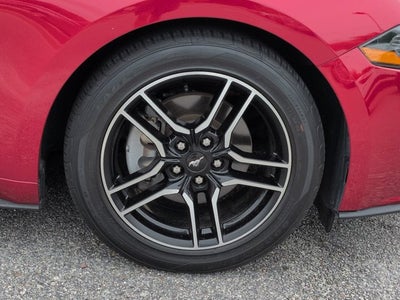 2022 Ford Mustang EcoBoost