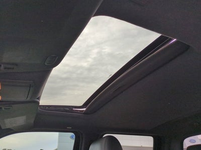 2014 Ford Super Duty F-250 SRW Platinum