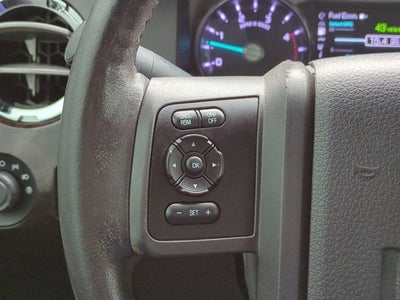 2014 Ford Super Duty F-250 SRW Platinum