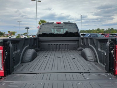 2025 Ford Super Duty F-350 DRW Platinum